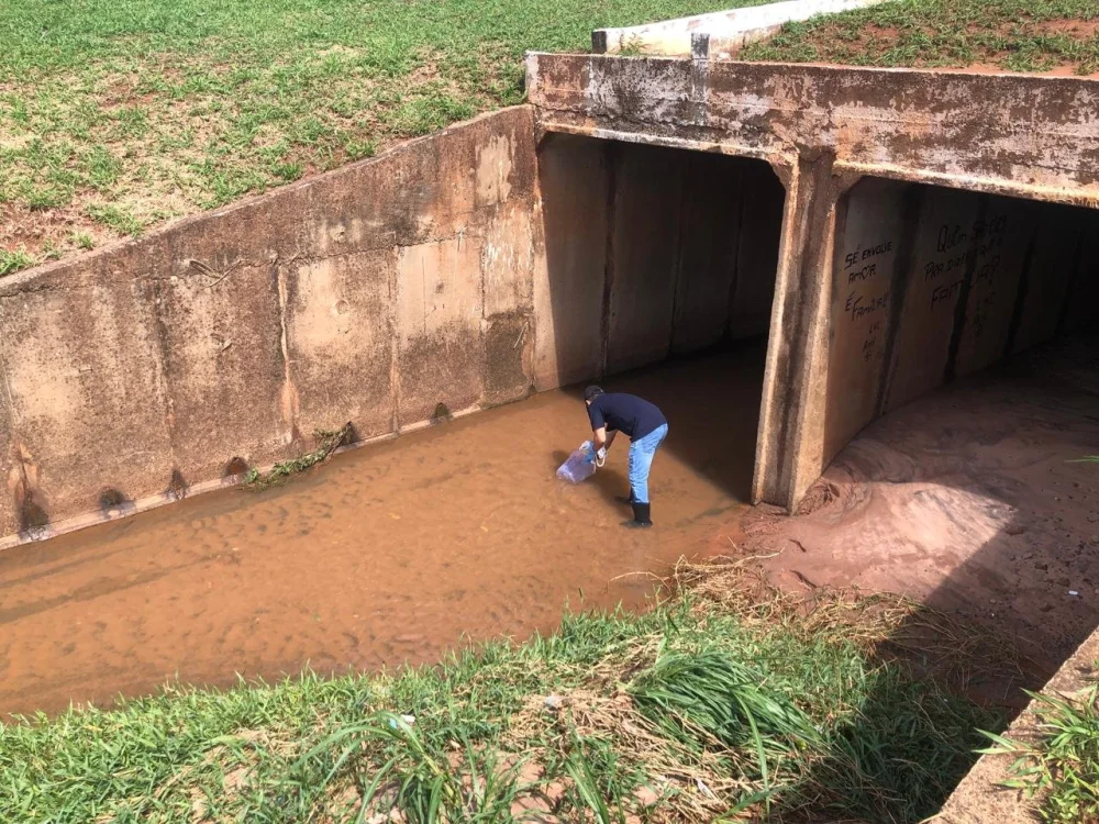 Coleta na regi�o da Rodovi�ria de Bauru