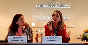 Professora representa a ITE no 9� Congresso Ibero-americano de Investigadores e Docentes de Direito e Inform�tica
