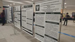 Congresso Iteano de Iniciao Cientfica: confira cliques de Bauru e Botucatu