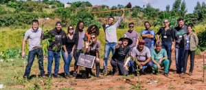 Sustentabilidade: Iteanos plantam 100 mudas de �rvores em parceria com a Semma