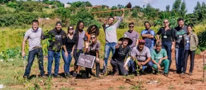 Sustentabilidade: Iteanos plantam 100 mudas de rvores em parceria com a Semma