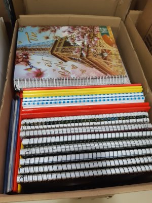Trote Solid�rio arrecadou material escolar para o Projeto Formiguinha