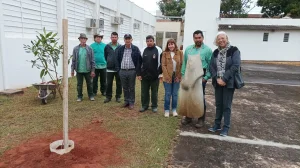 ITE Bauru ganha mudas de quaresmeira&nbsp;