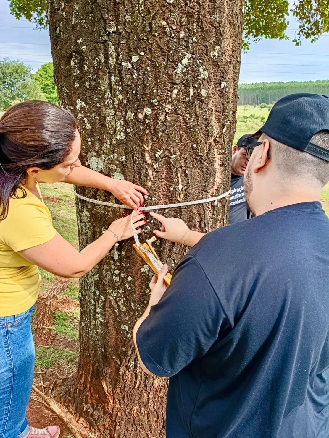 Projeto de extens�o mapeou �rvores em Len��is Paulista